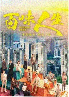 剧集标本卡封面，双语字幕版本对照示意